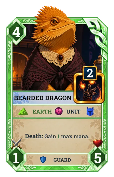 Bearded Dragon